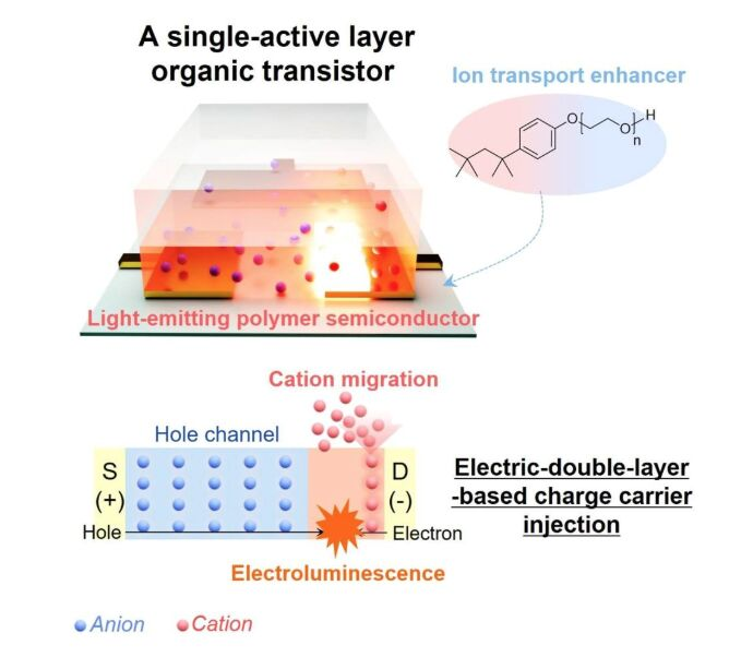 Un transistor orgánico que une memoria, procesamiento y luz en un solo dispositivo